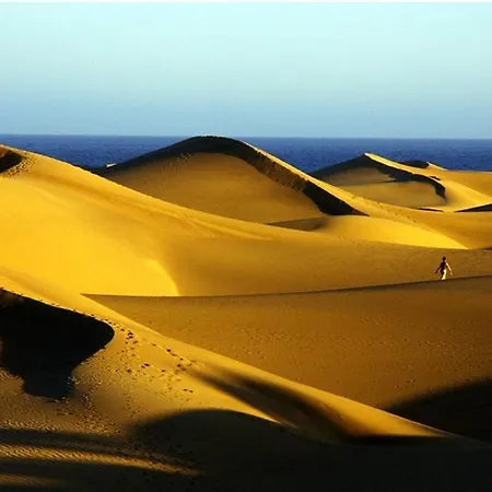 Pequeno Y Acogedor 4th By Casas Cocodrilo * פלאייה דל אינגלז